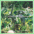 Garden life size Bronze animal bird water Fountain